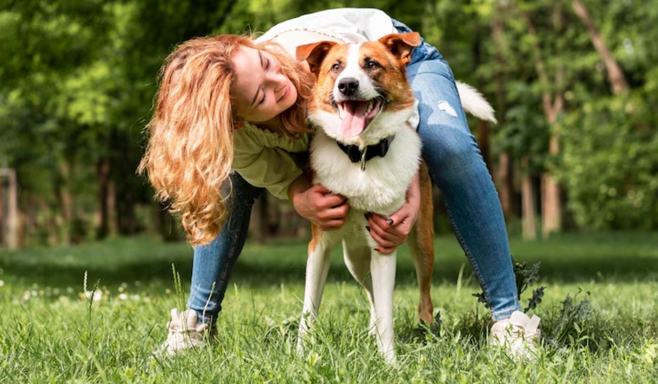 Villa Peluda en Bogotá: así se gozarán el Festival de Verano las mascotas