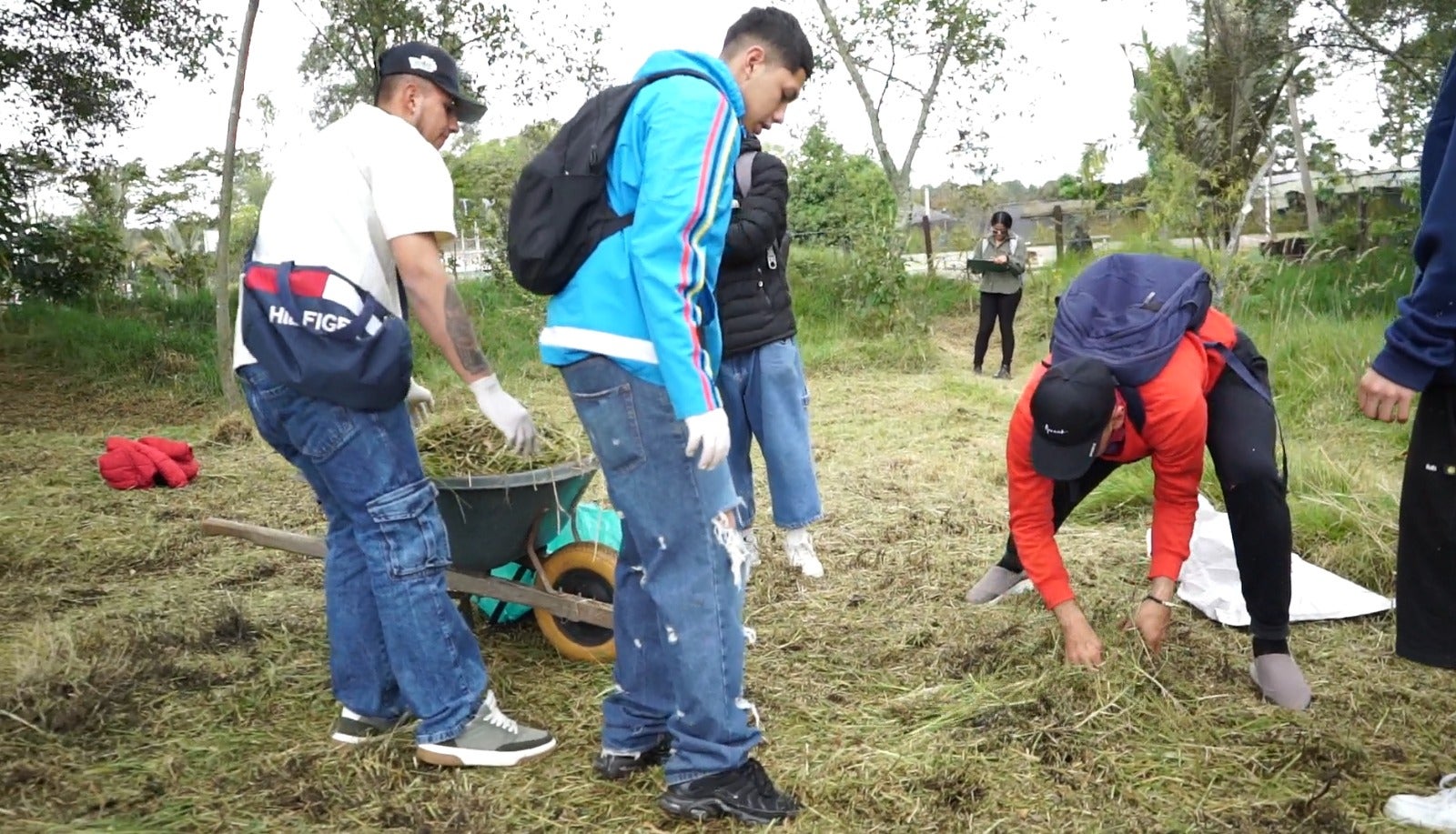 Los infractores cambian multas por limpieza y siembra de árboles
