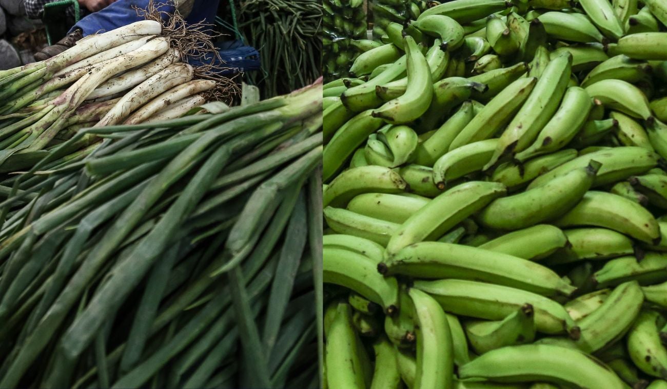 Alimentos en Corabastos