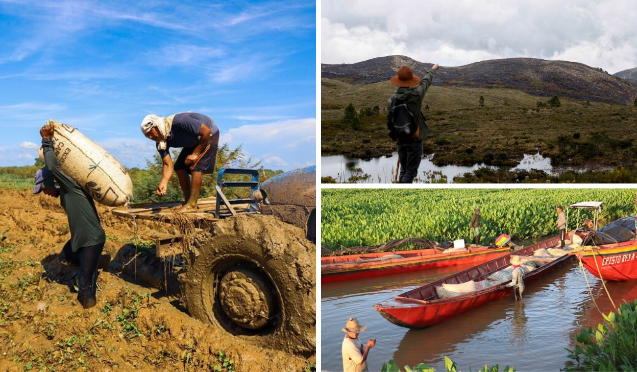 Campesinos reciben salvavidas tras afectaciones por fenómenos climáticos