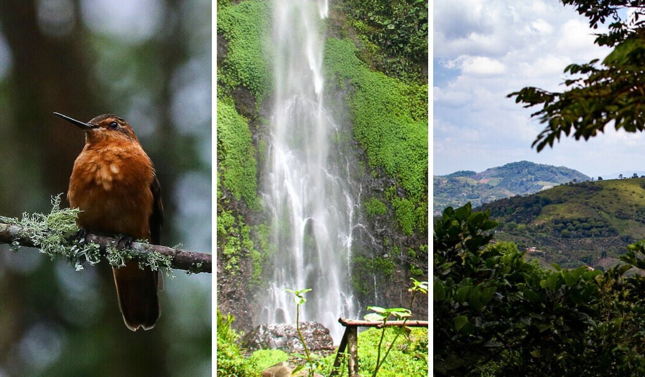 Caminatas ecológicas en Bogotá para agosto: cupos gratis y pocas fechas