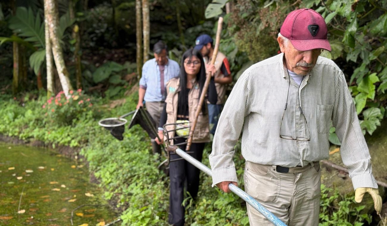Humedales renacen en Cundinamarca: CAR y JAC rescatan el agua