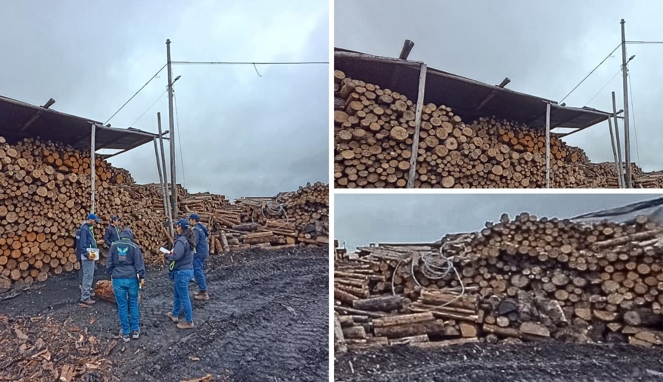 CAR frena en seco a empresa maderera por irregularidades ambientales