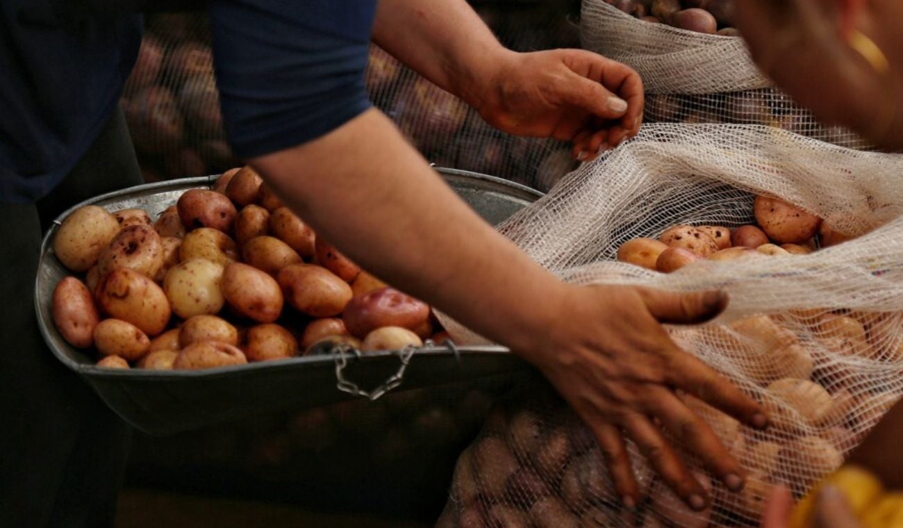 Precios en Corabastos este 27 de octubre, 2025: alimentos que más bajaron HOY