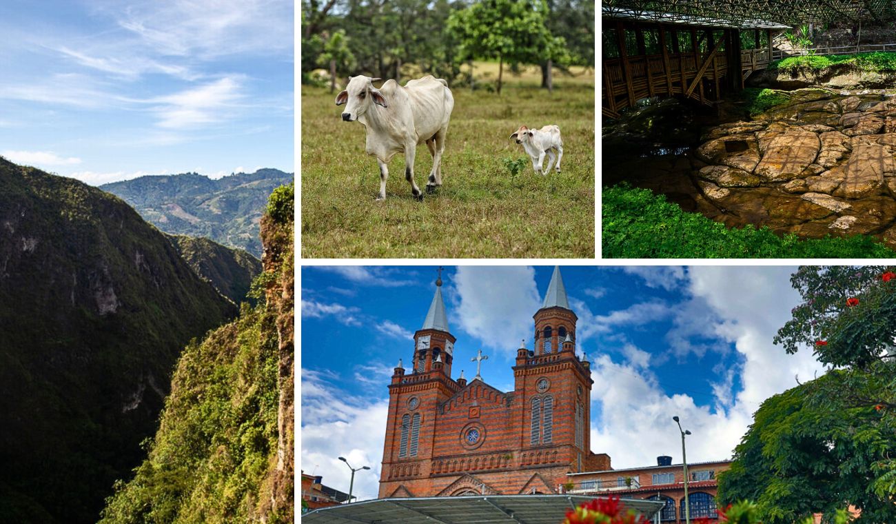 ¿Cuánto se gasta de Bogotá a Arbeláez? Descubra qué hacer en el municipio