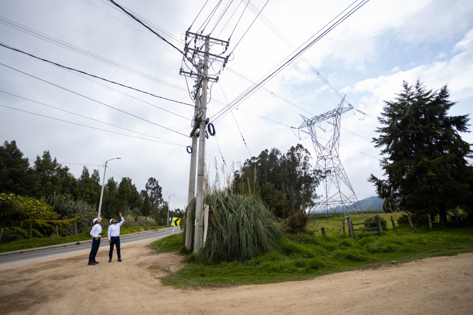 443 cometas atrapadas en redes eléctricas durante agosto de 2024, reporta Enel Colombia