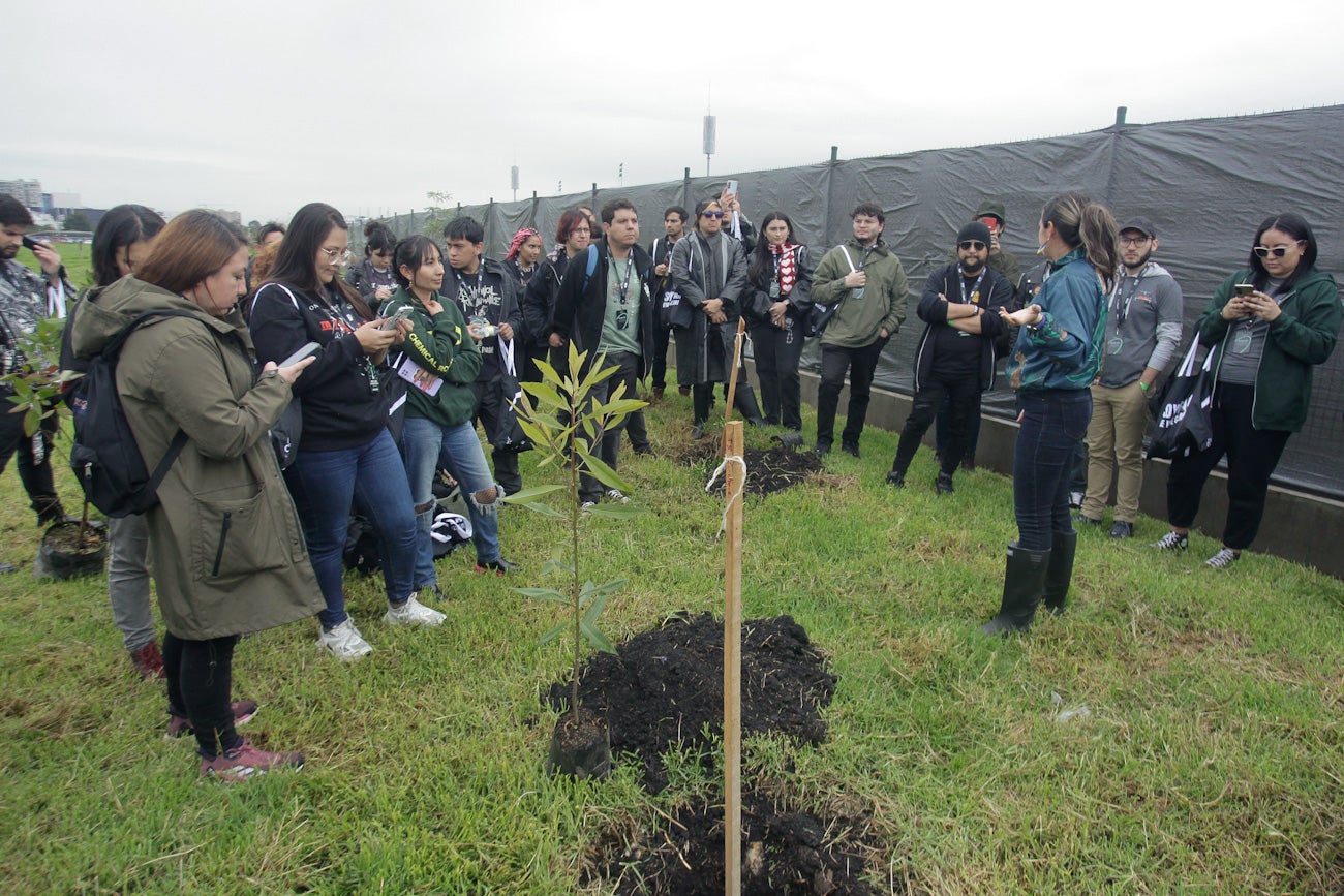 Vive Claro Distrito Cultural llega al 80%