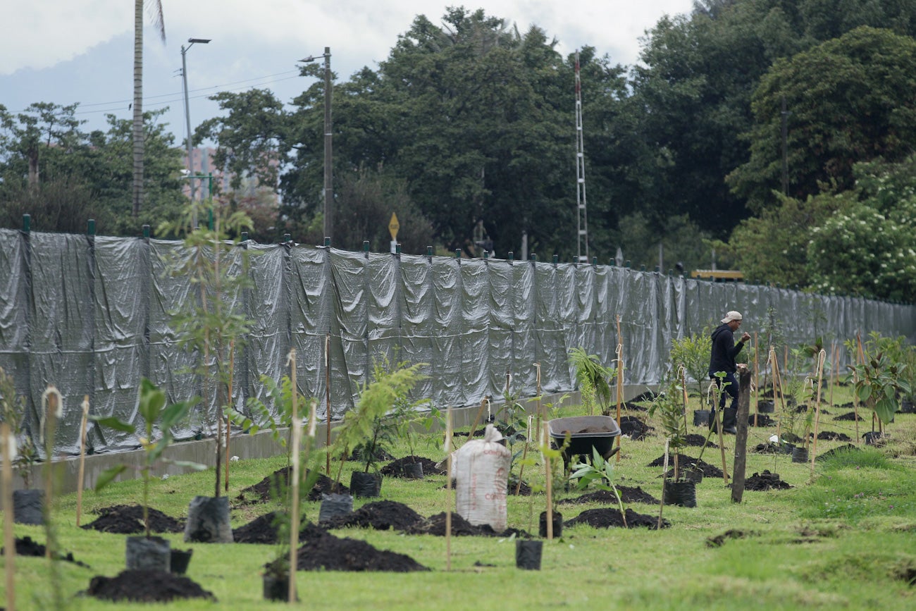 Vive Claro Distrito Cultural llega al 80%