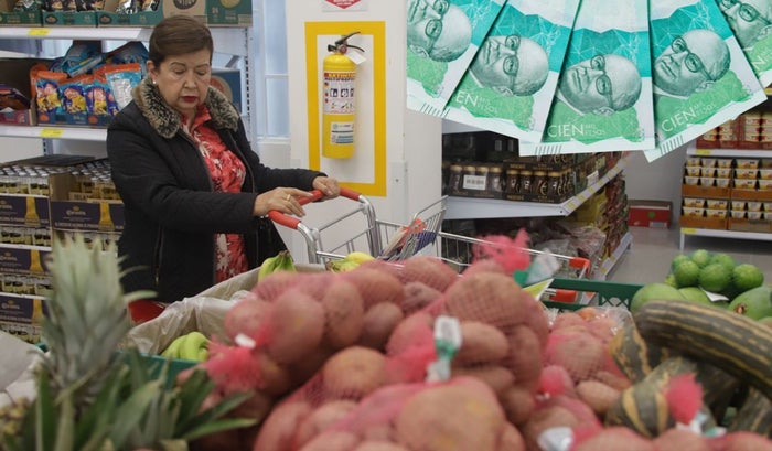 Nuevo subsidio de $230.000 alcanza para el mercado y algo más