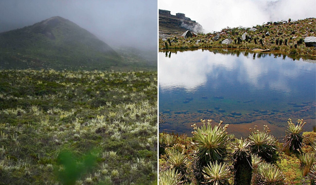 Páramo de Sumapaz