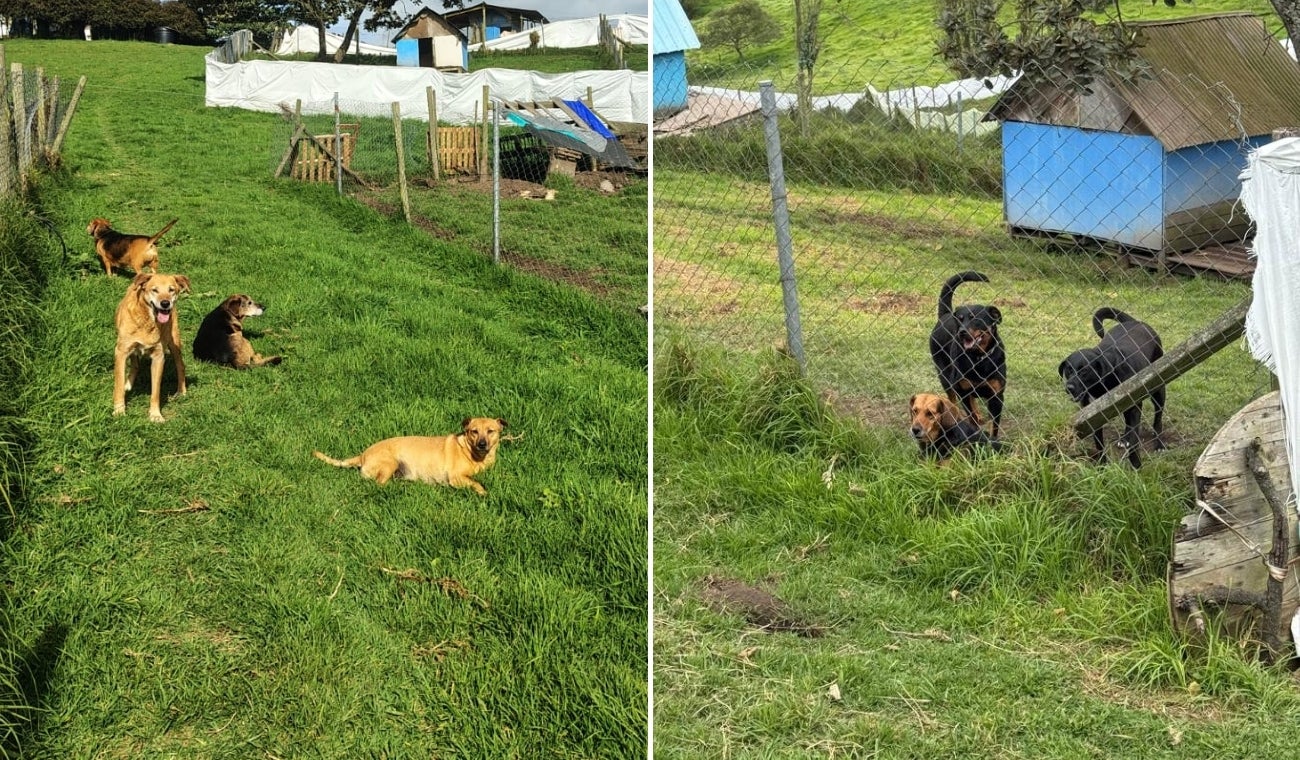 Refugio que deberá ser desalojado en El Rosal