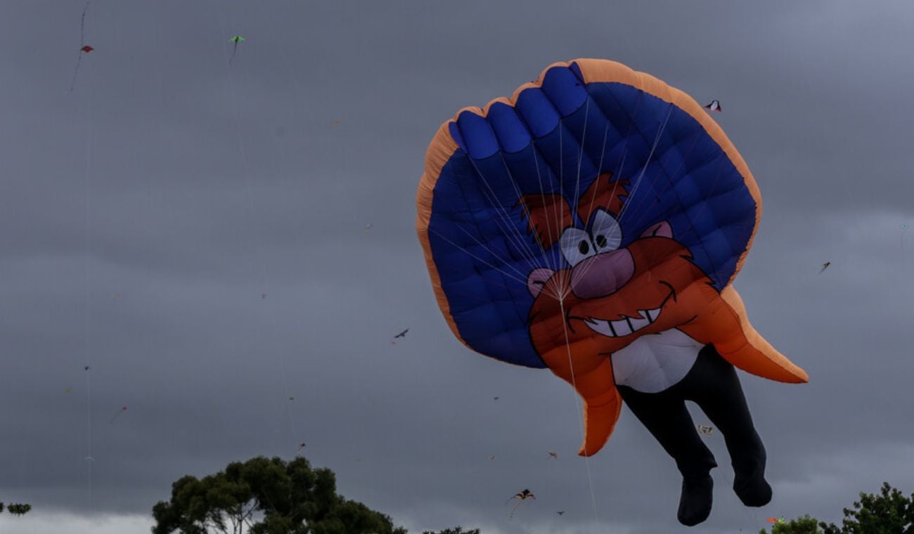 ¿Se le fue la cometa al poste? Enel explica cómo evitar un accidente