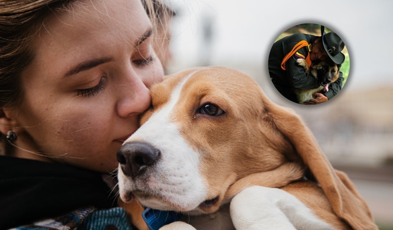 Hurto de mascotas en Bogotá