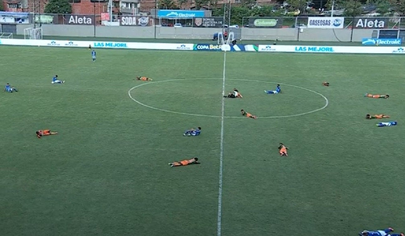 Abejas en Millonarios vs. Envigado