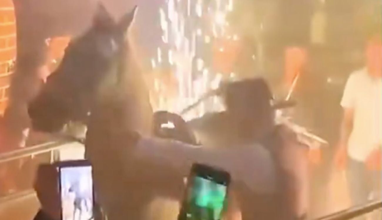 Metieron un caballo a un bar en pleno centro de Bogotá