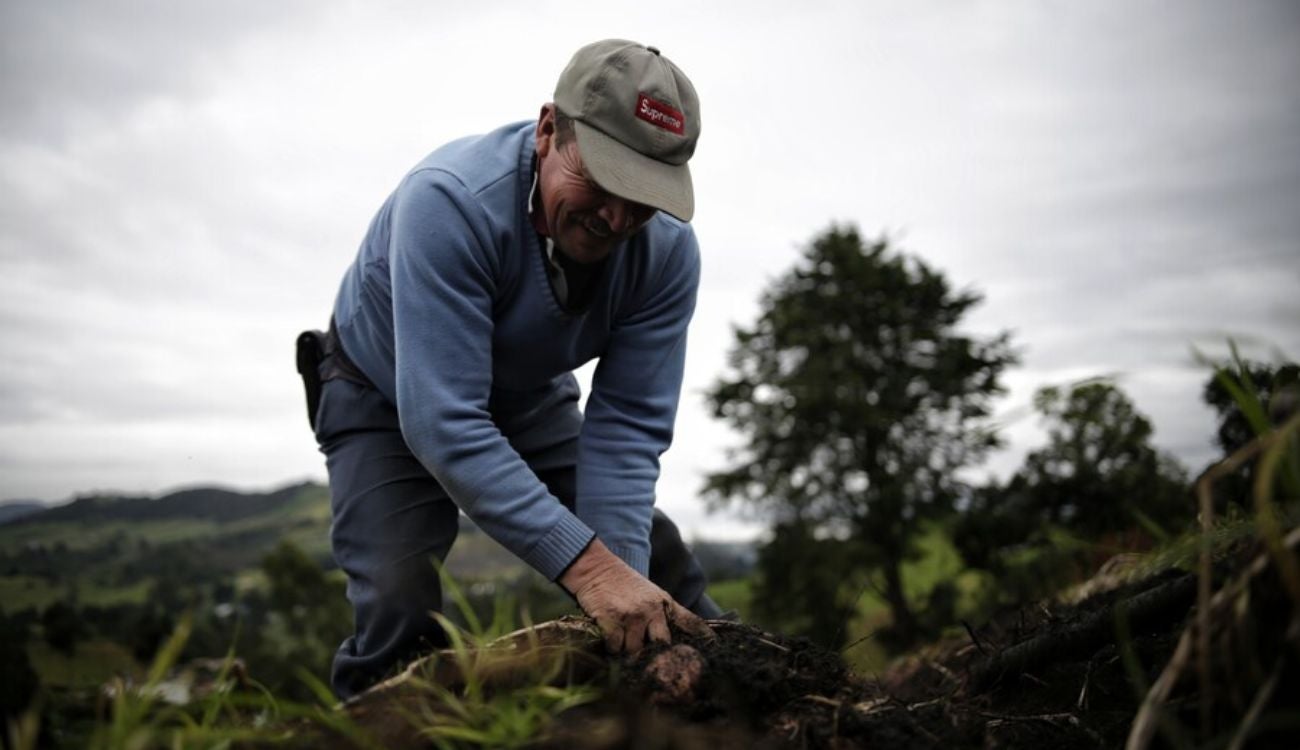 Campesinos de Bogotá