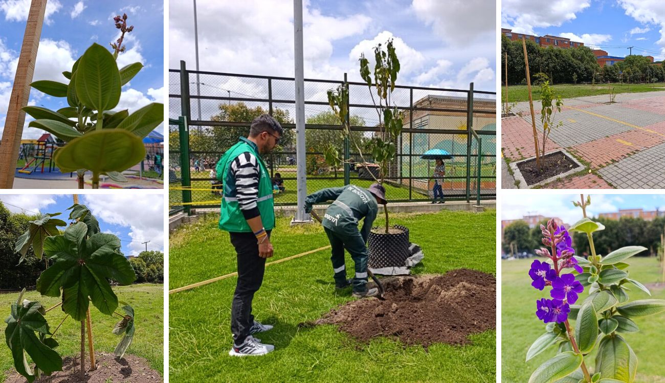 Colegio de Bosa estrena 156 nuevos árboles: estudiantes son sus guardianes