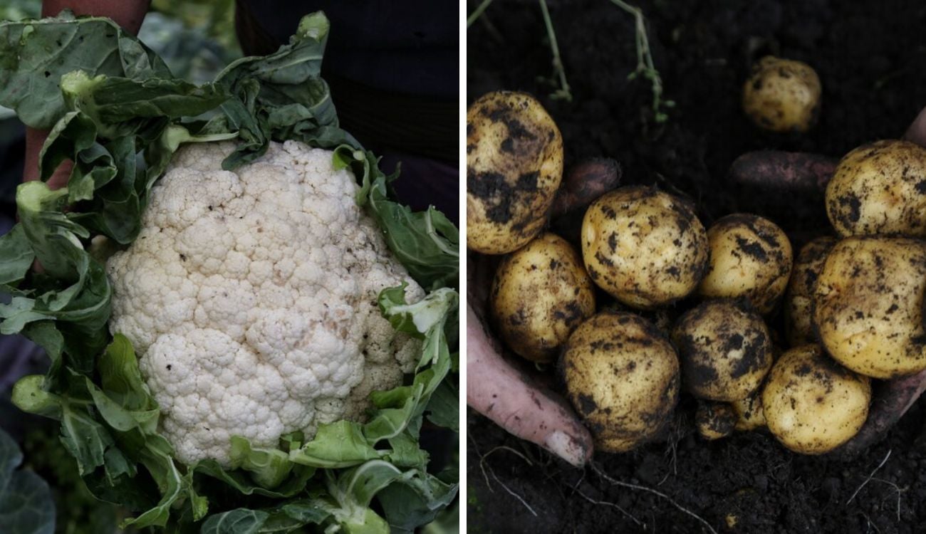 Precios en Corabastos hoy 17 de septiembre de 2025: alimentos que más bajaron de precio este miércoles