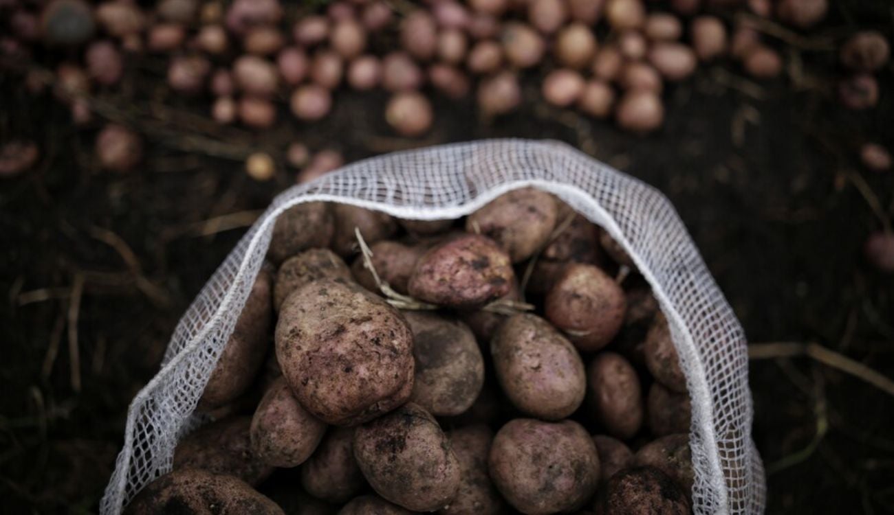 Precios en Corabastos hoy 10 de diciembre: alimentos que más bajaron este miércoles