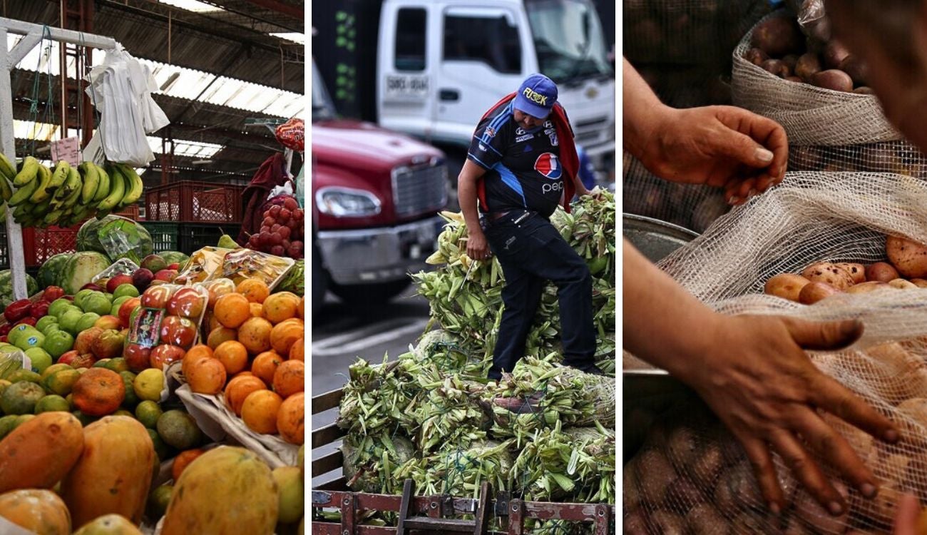 Precios en Corabastos hoy 4 de septiembre de 2025: alimentos que más bajaron de precio este jueves