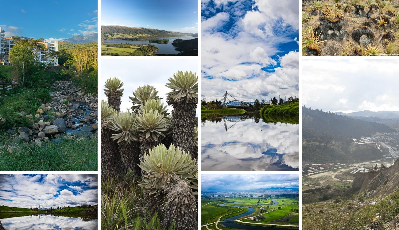 CAR prepara gran Cumbre Ambiental: no pagará un solo peso por entrar