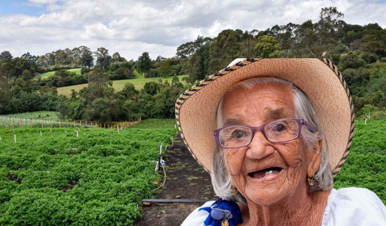 Cundinamarca suelta $10.600 millones familias de varios pueblos ganan