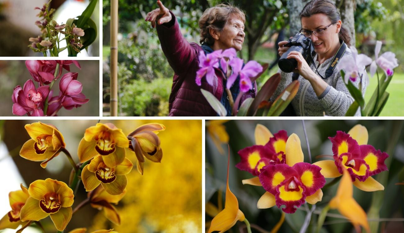Jardín Botánico se viste de orquídeas: Bogotá brillará con exposición