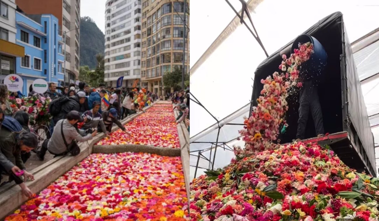 Flores en el Eje Ambiental