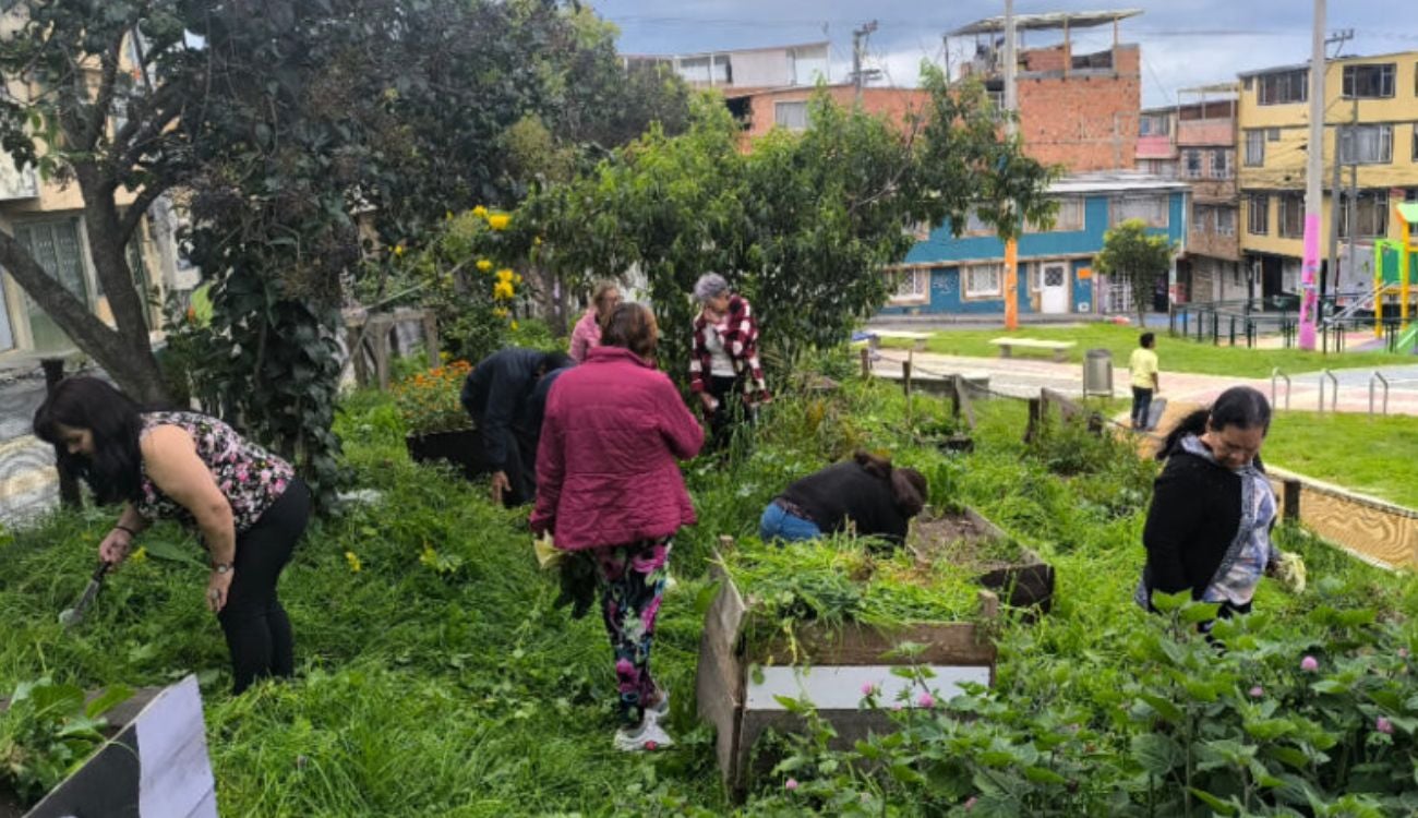 Ciudad Bolívar florece con la Huerta María Cano y su poder comunitario