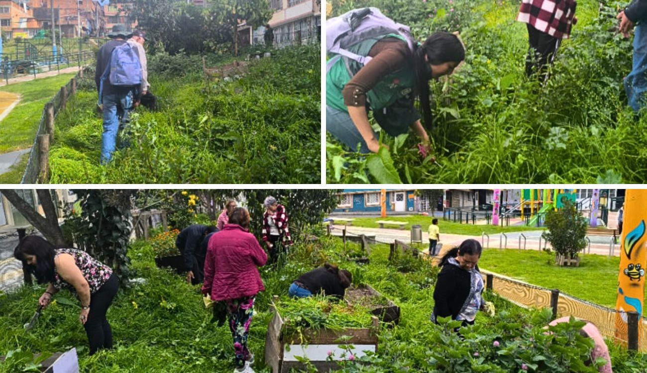 Ciudad Bolívar florece con la Huerta María Cano y su poder comunitario