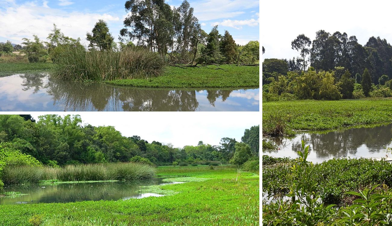 Cerro La Conejera: rutas, senderos y panorámicas que no se puede perder