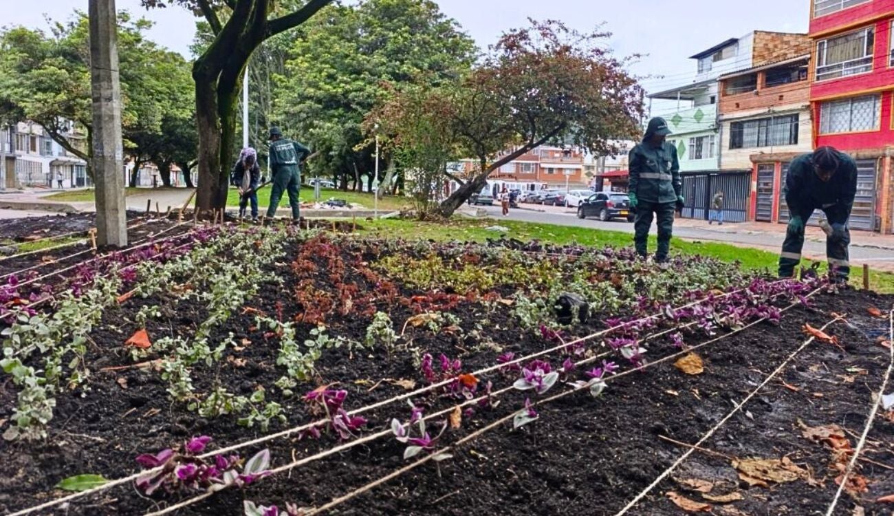 Siete nuevas maravillas florales le cambian la cara al sur de Bogotá