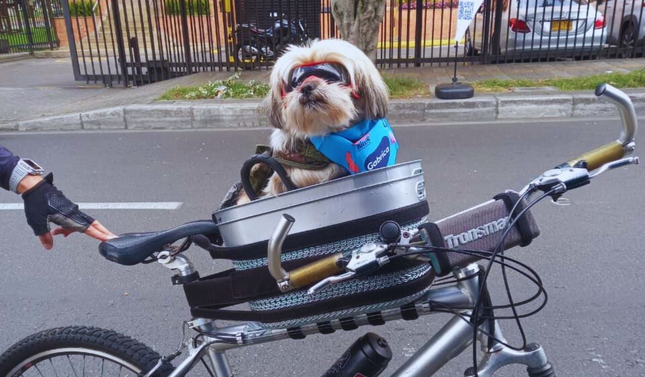 Mascotas no sufrirán en la Ciclovía de Bogotá: Distrito les arregla el paseo