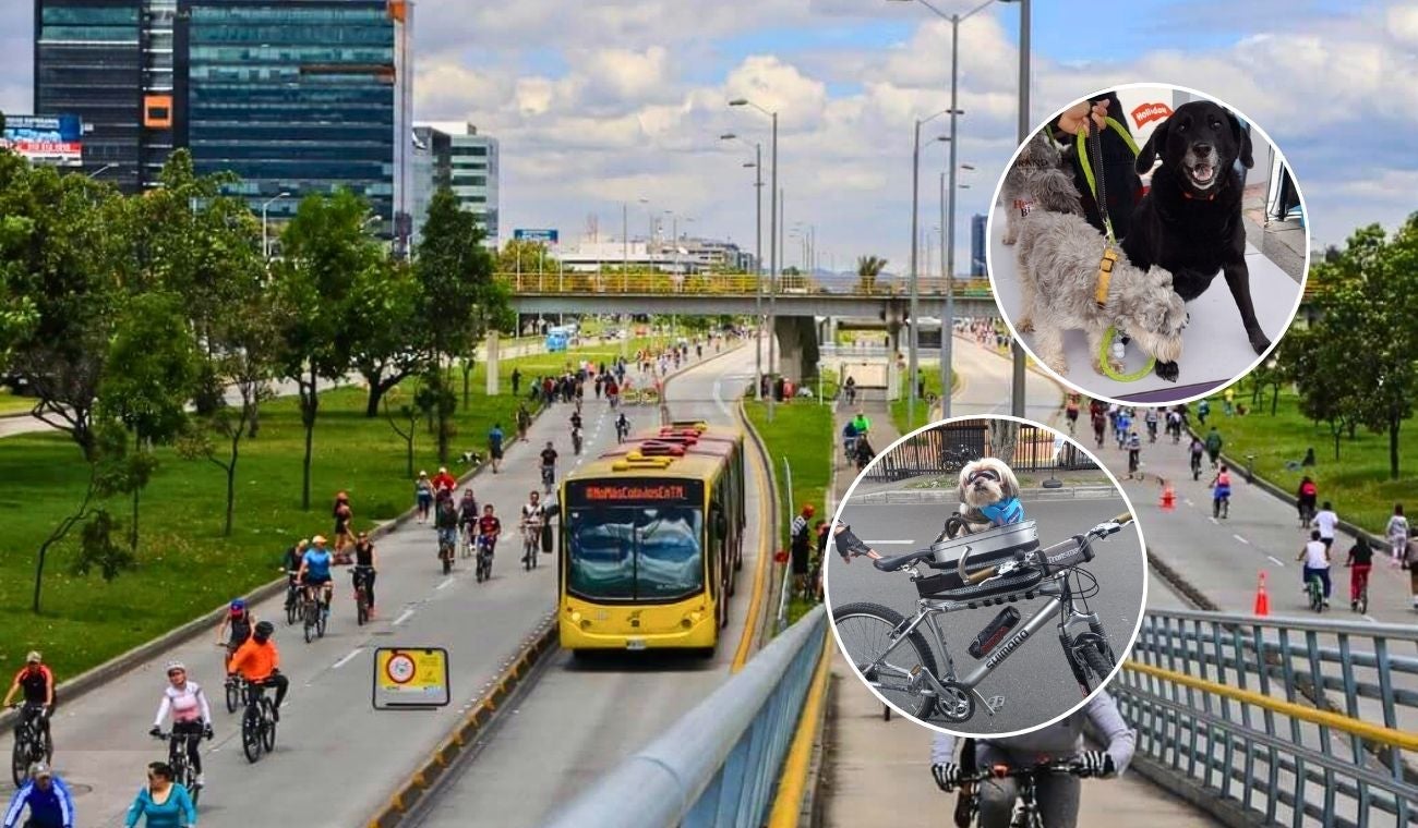 Mascotas no sufrirán en la Ciclovía de Bogotá: Distrito les arregla el paseo