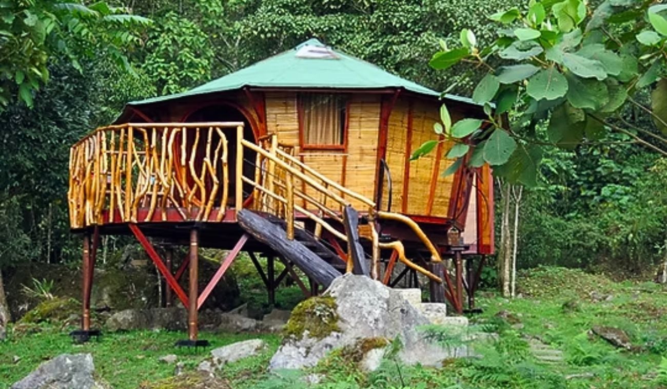 Parque Chicaque a 30 minutos de Bogotá: un respiro único con aves y senderos