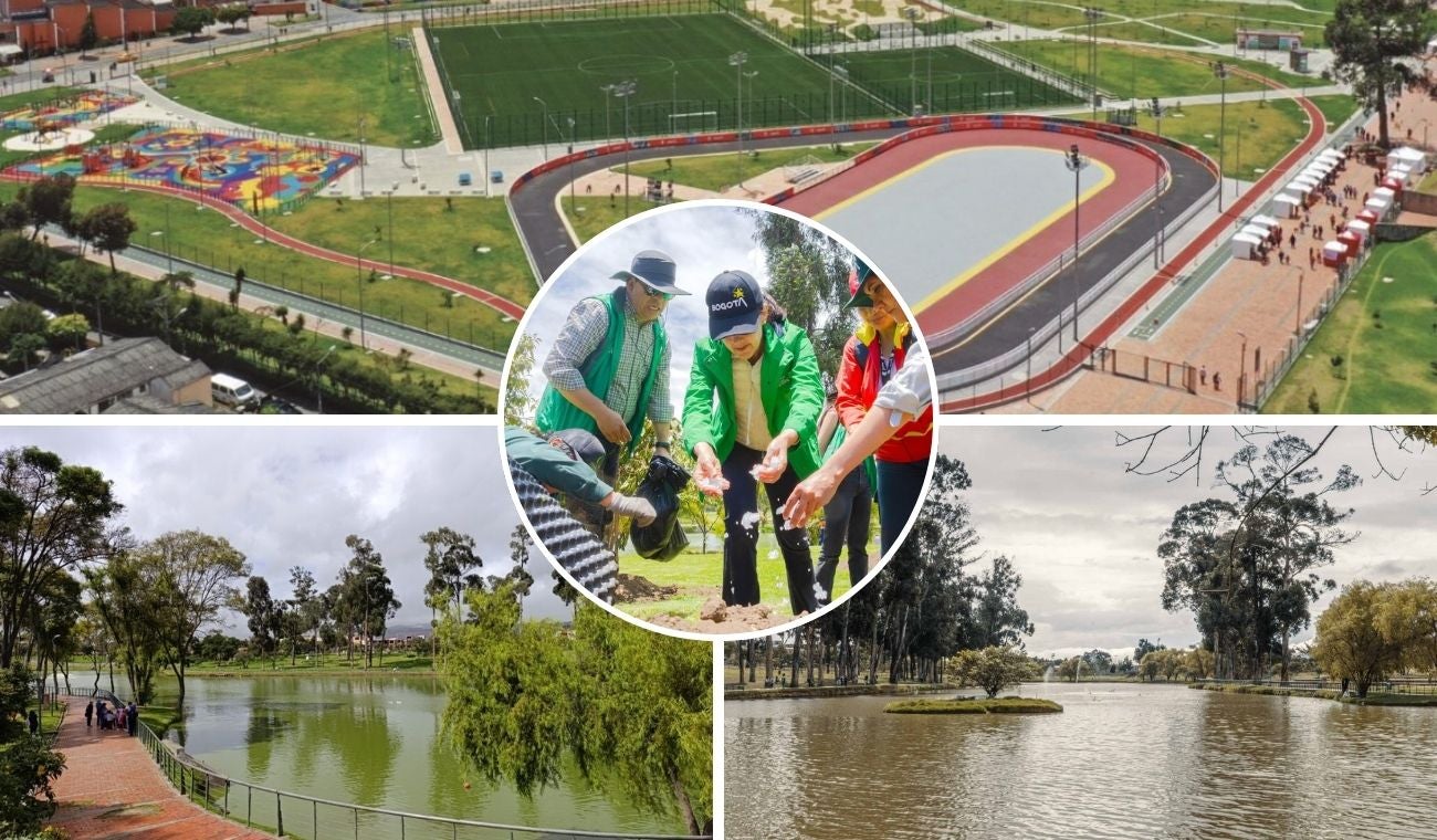 Parque Timiza estrena 95 árboles: así reverdece el sur de Bogotá