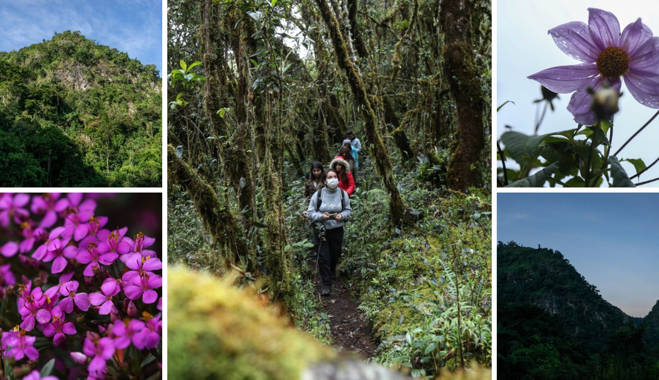 Sendero Las Moyas: precios, rutas y todo para disfrutar este tesoro natural