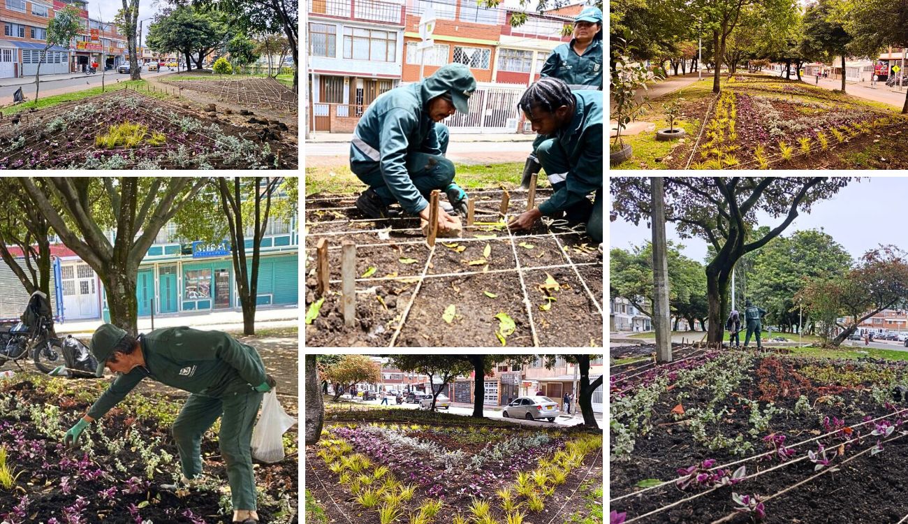 Siete nuevas maravillas florales le cambian la cara al sur de Bogotá