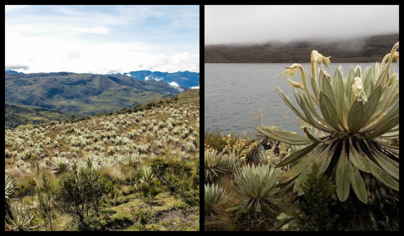 Sumapaz se suma a las convocatorias culturales