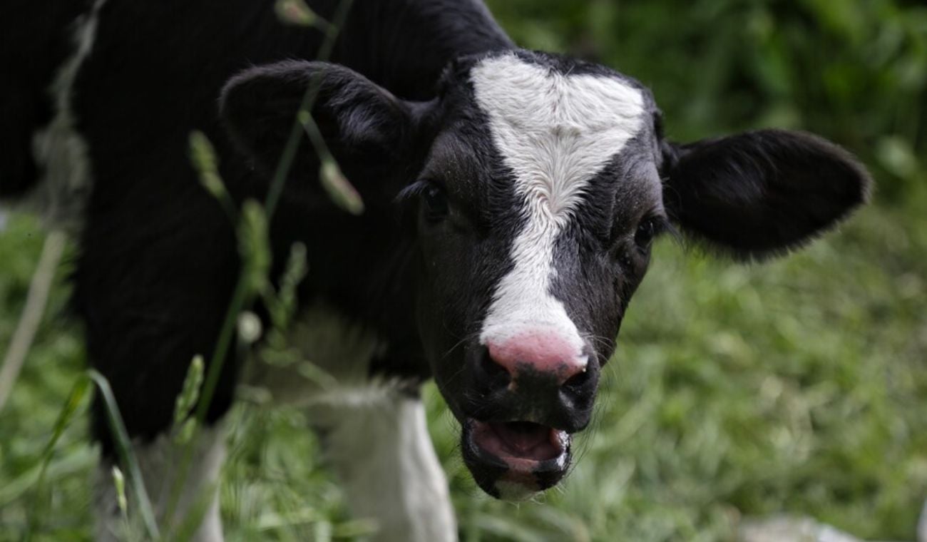 15 mil cundinamarqueses reciben educación ambiental sobre ruedas