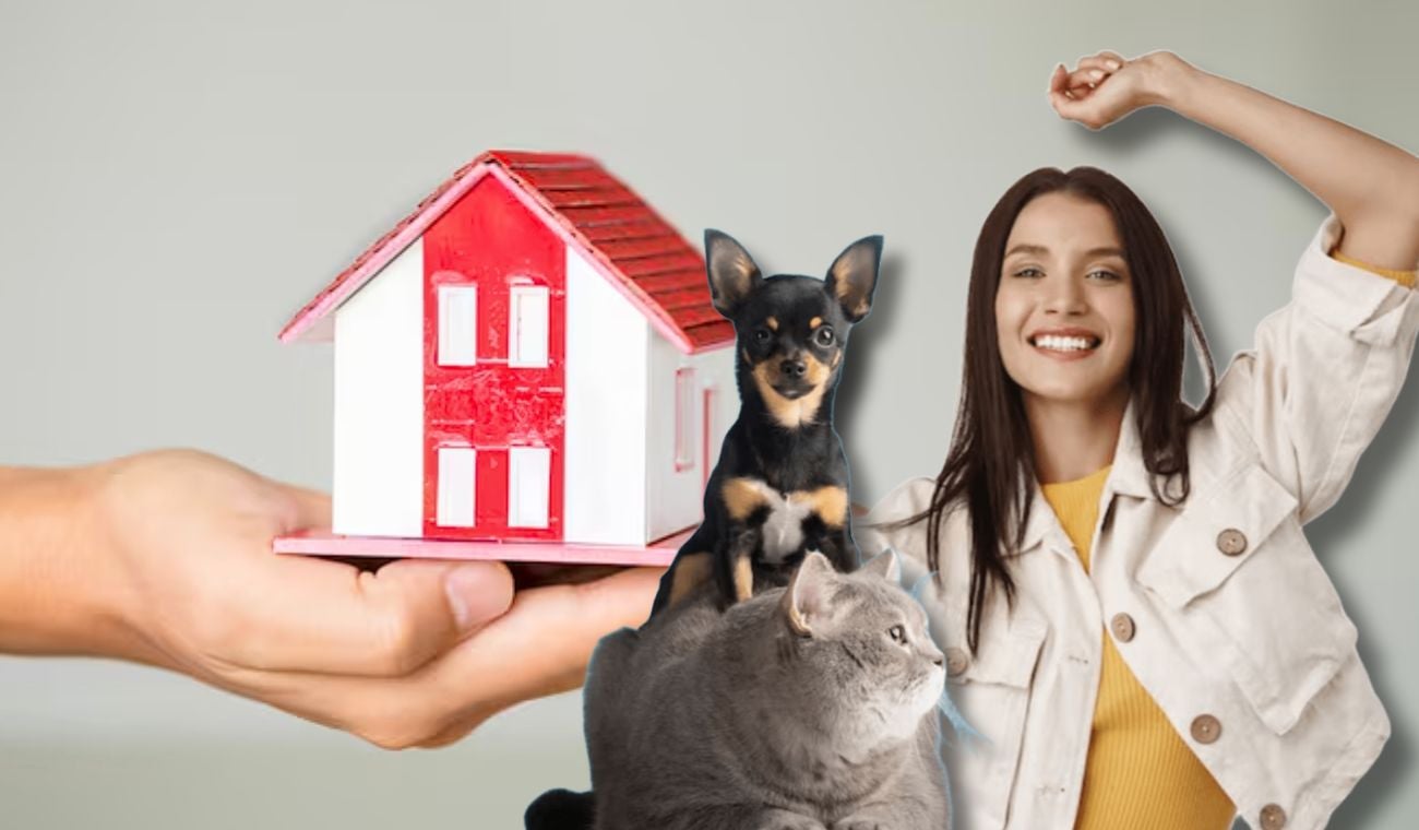 Vivienda Segura en Bogotá: protección para toda la familia y sus mascotas