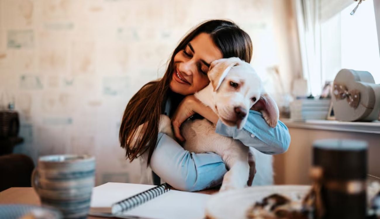 Chapinero lanza censo de mascotas para cuidar a los animales de la zona