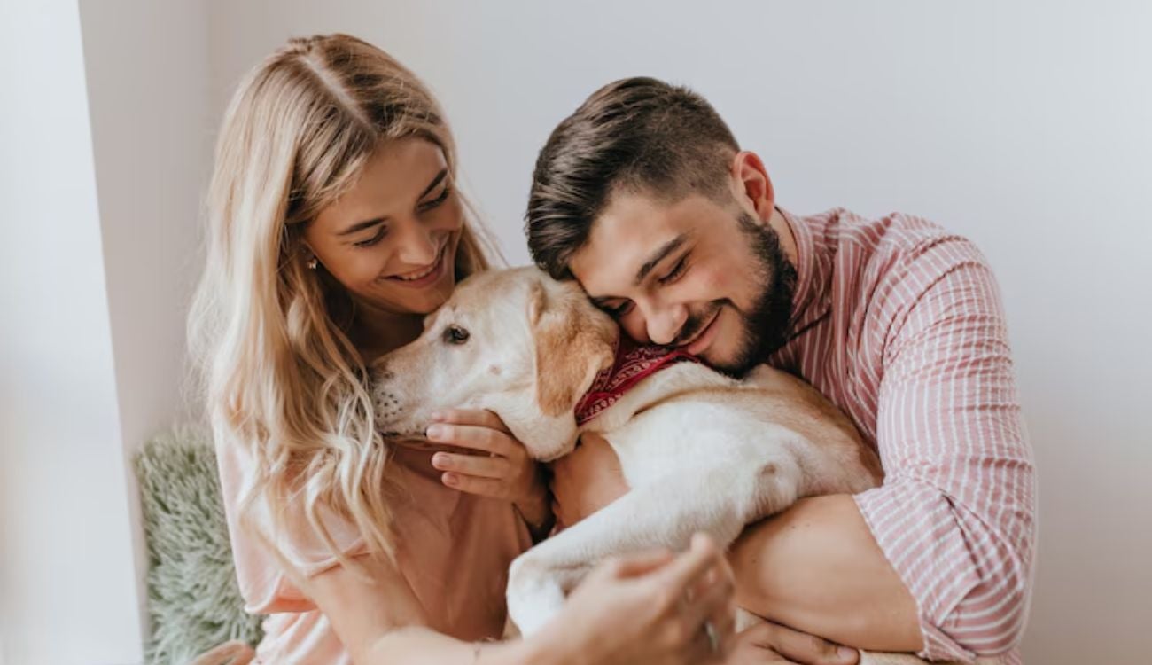 Chapinero lanza censo de mascotas para cuidar a los animales de la zona