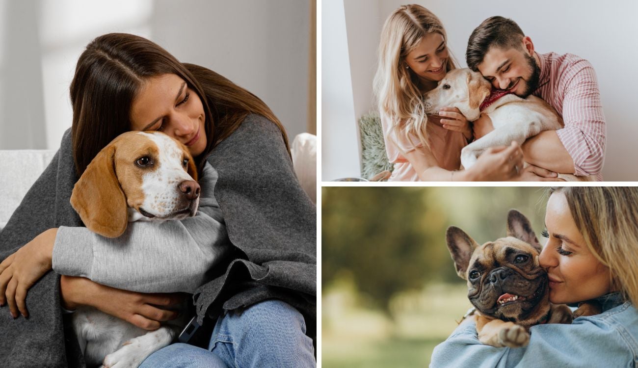 Llega el PyBAFest 2025 a Bogotá con feria, adopciones y bienestar animal