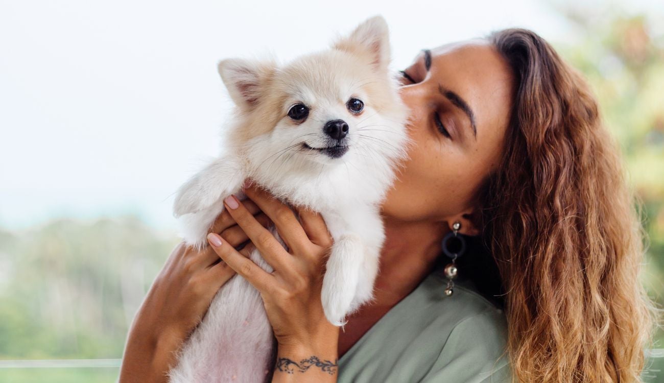 Llega el PyBAFest 2025 a Bogotá con feria, adopciones y bienestar animal