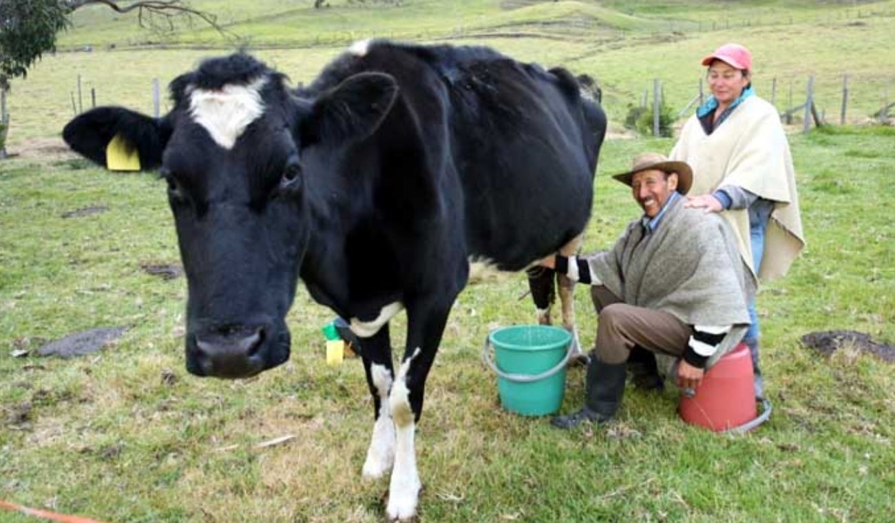 Lecheros en Cundinamarca