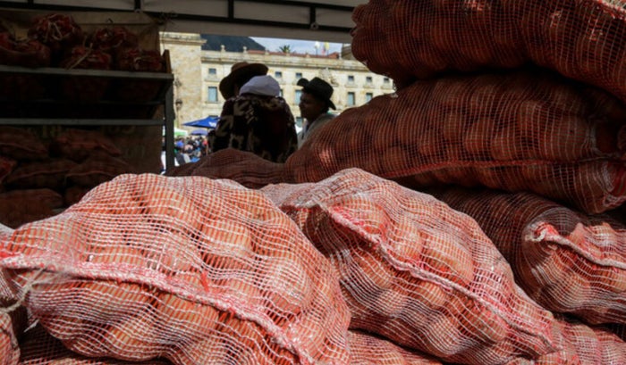 Precios en Corabastos este 23 de octubre alimentos que más bajaron HOY