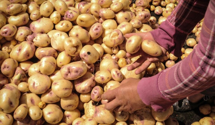 Precios en Corabastos este 9 de octubre 2025 alimentos que más bajaron HOY