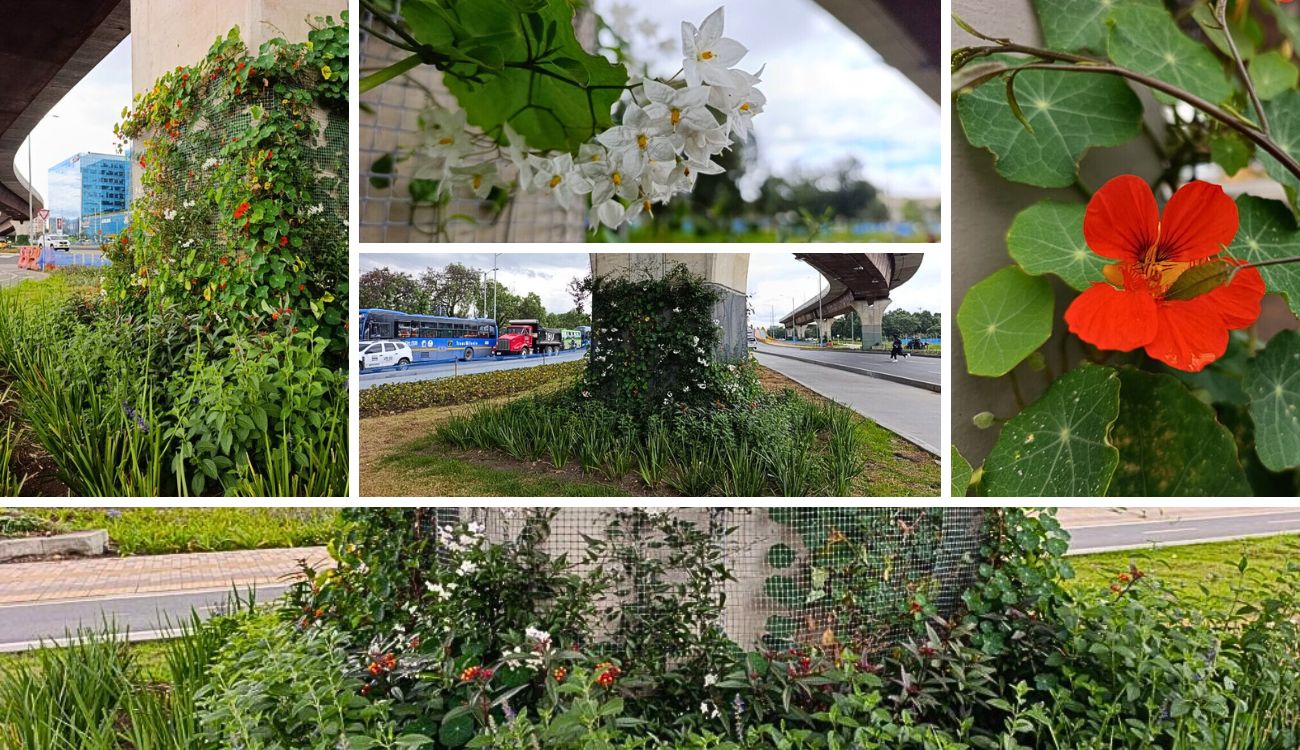 Puente de la Av. 68 con calle 26 se transforma y luce lleno de jardines