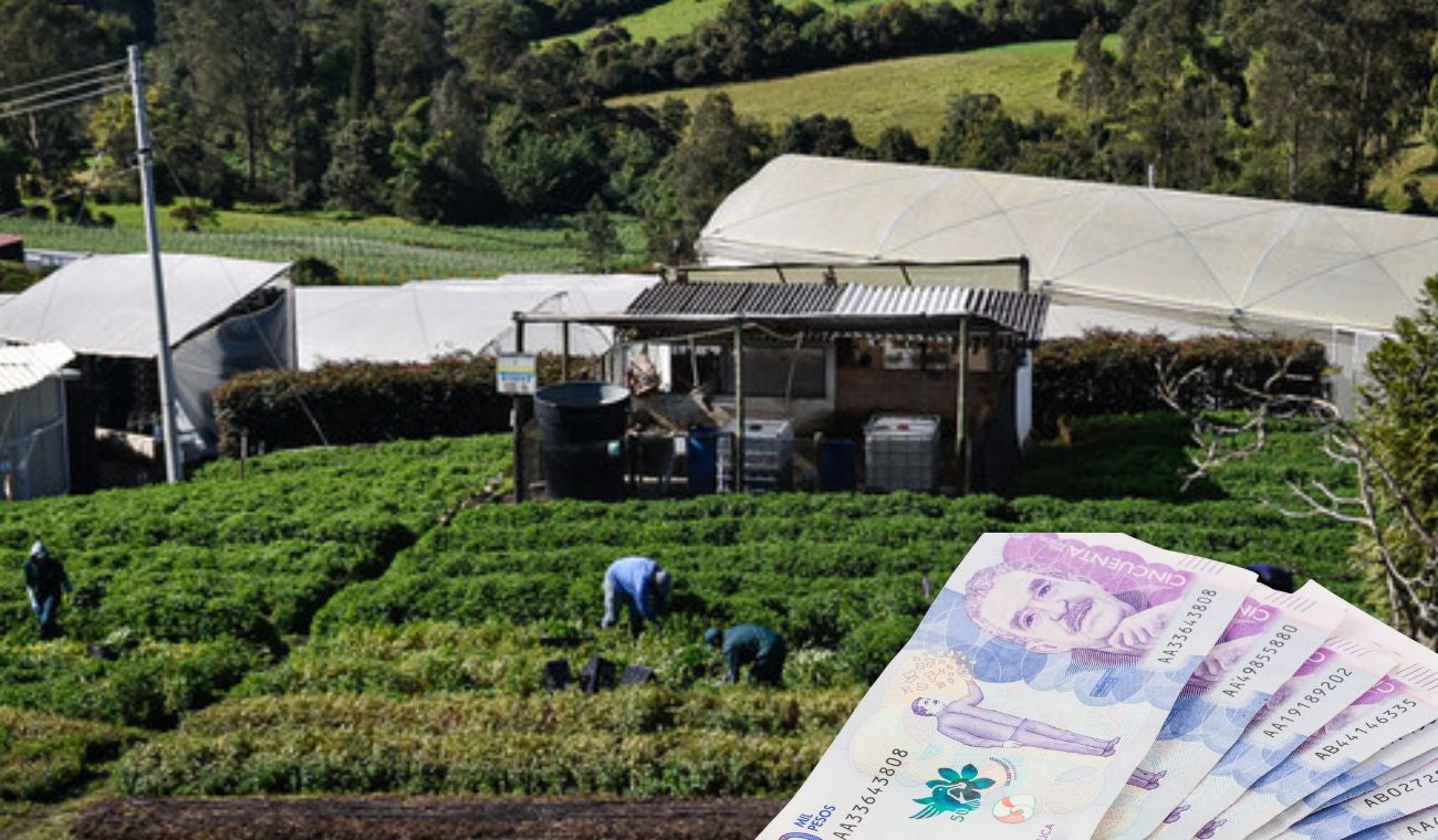 Región Metropolitana compra las cosechas municipios que salen ganando